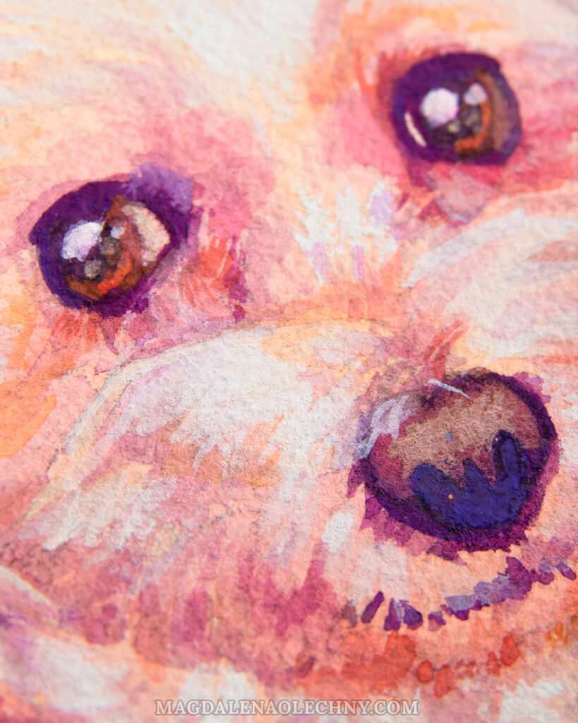 A painting of a Maltese dog, close-up of a muzzle.