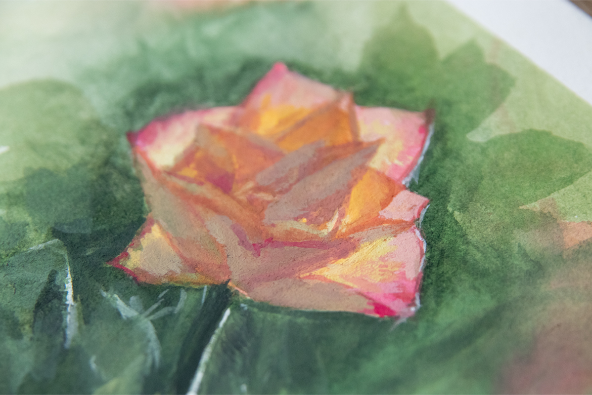 Gouache painting of a tea rose.