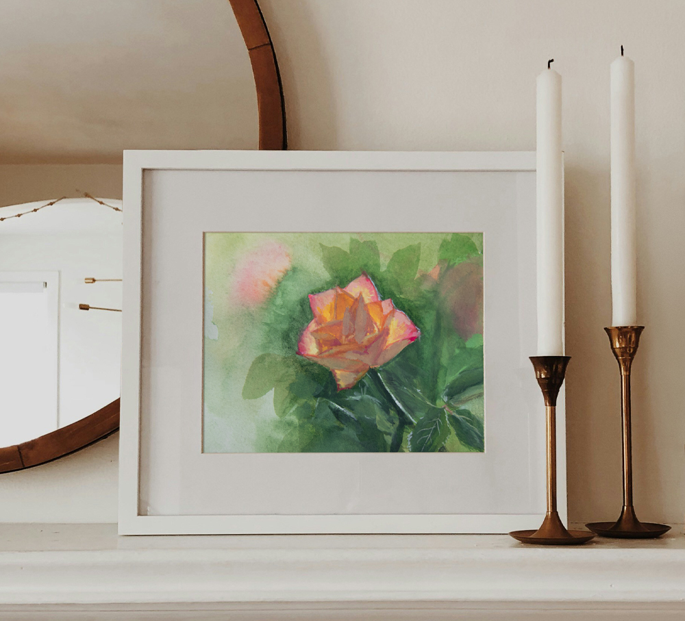 Framed gouache painting of a tea rose.